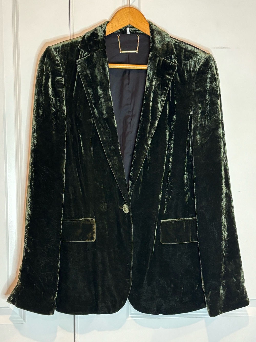 Frame Deep Moss Green Crushed Velvet Single Button Blazer 8 - Picture 2 of 12